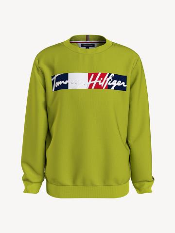 Lány Tommy Hilfiger Signature Pulóverek Zöld | HU 1895NWY